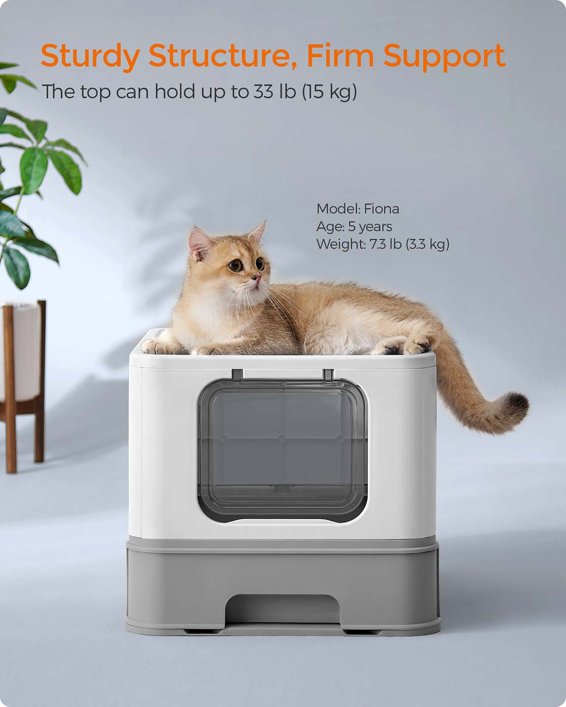 Hidden Cat Litter Box - image 31