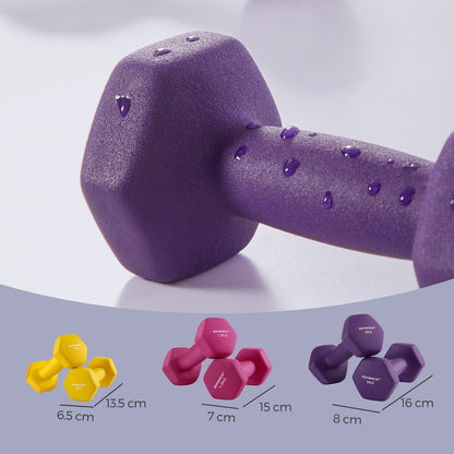 Hex Neoprene Dumbbells Set with Stand, 2 x 2 kg, 2 x 1.5 kg, 2 x 1 kg - image 5
