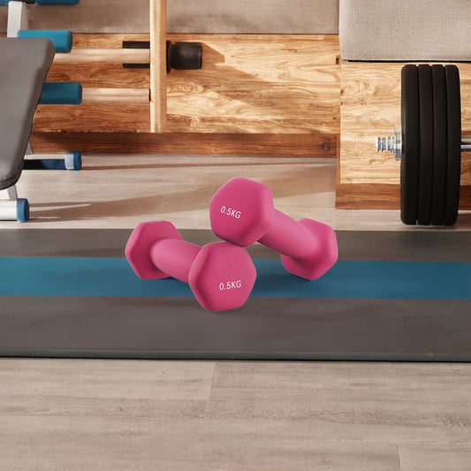 Neoprene Set of 2 Dumbbells, 2 x 0.5 kg, for Workout - image 1
