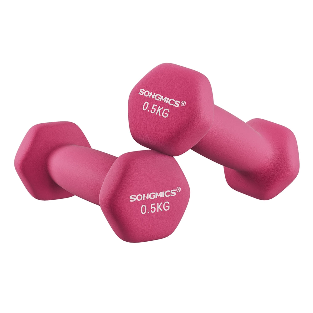 Double Pink Women Dumbbells - image 1