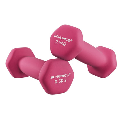 Double Pink Women Dumbbells - image 1