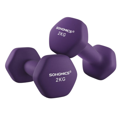 Purple Dumbbell Set - image 1