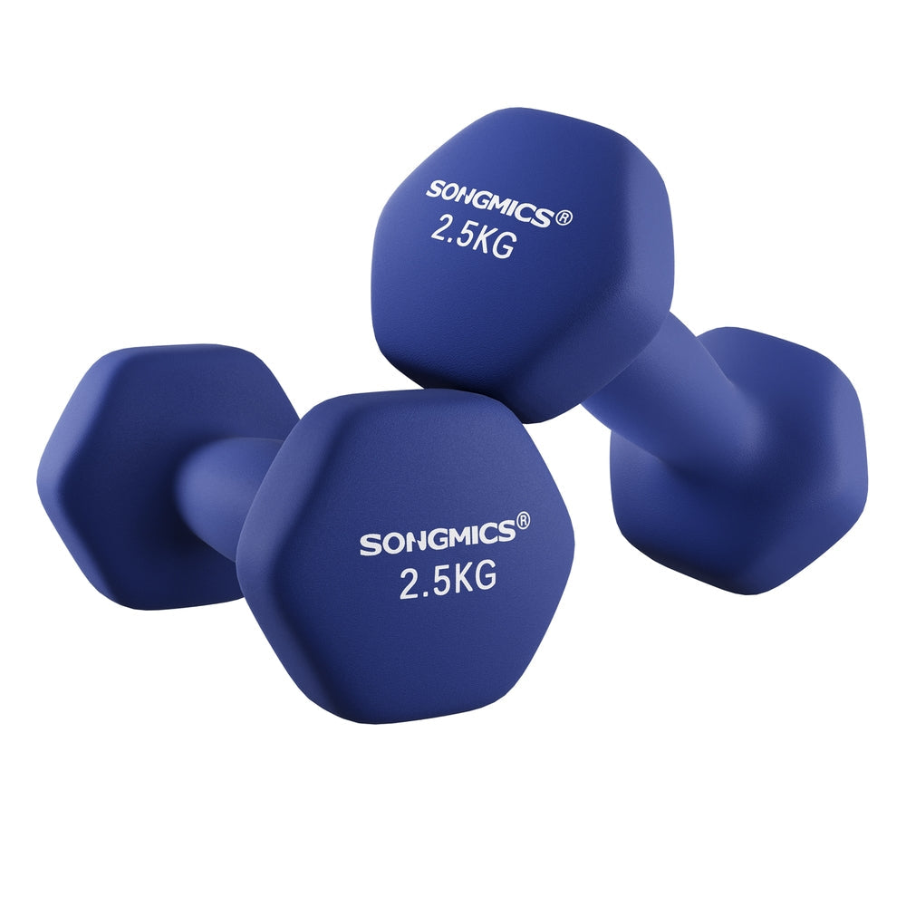 Matte Finish Dumbbells - image 1