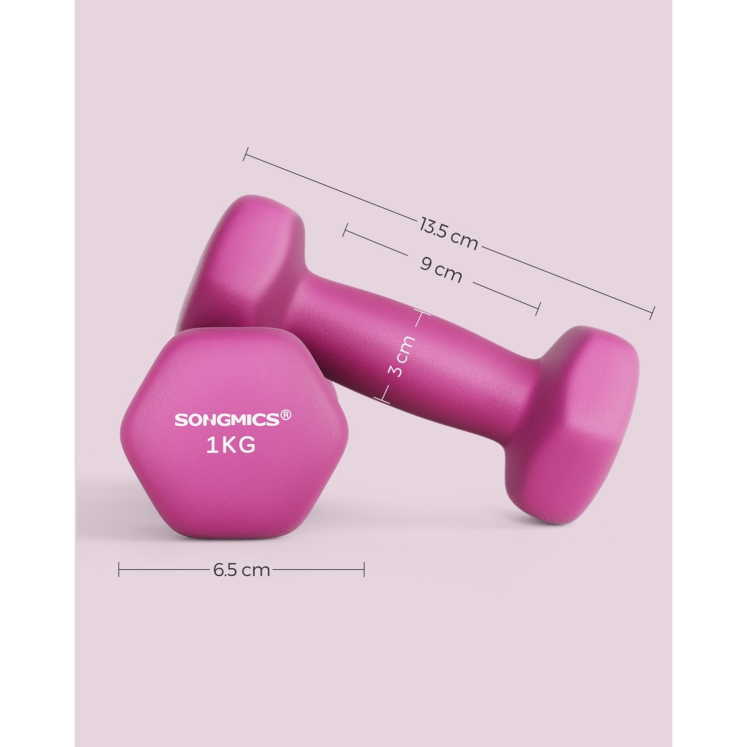 Set of 2 Dumbbells 2 x 1 kg Purple - image 60
