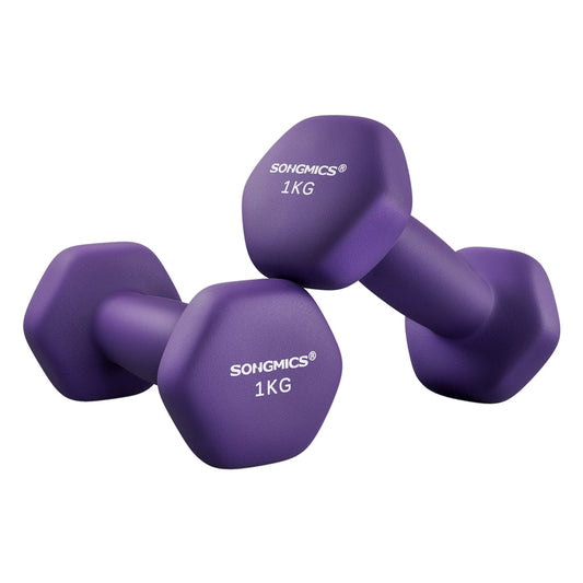 Set of 2 Dumbbells 2 x 1 kg Purple - image 1