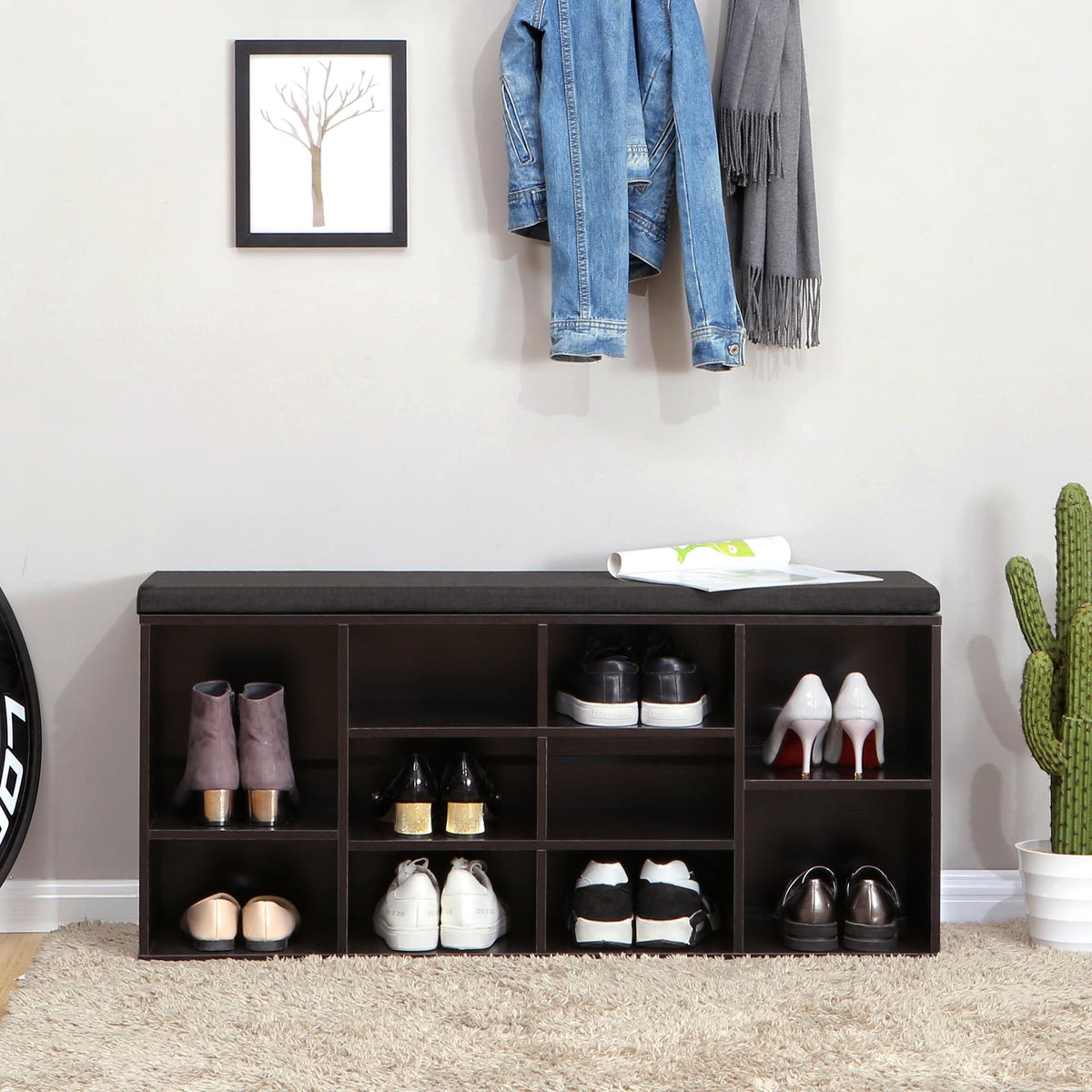 Shoe Cabinet Storage Bench with Cushion | Adjustable Shelves