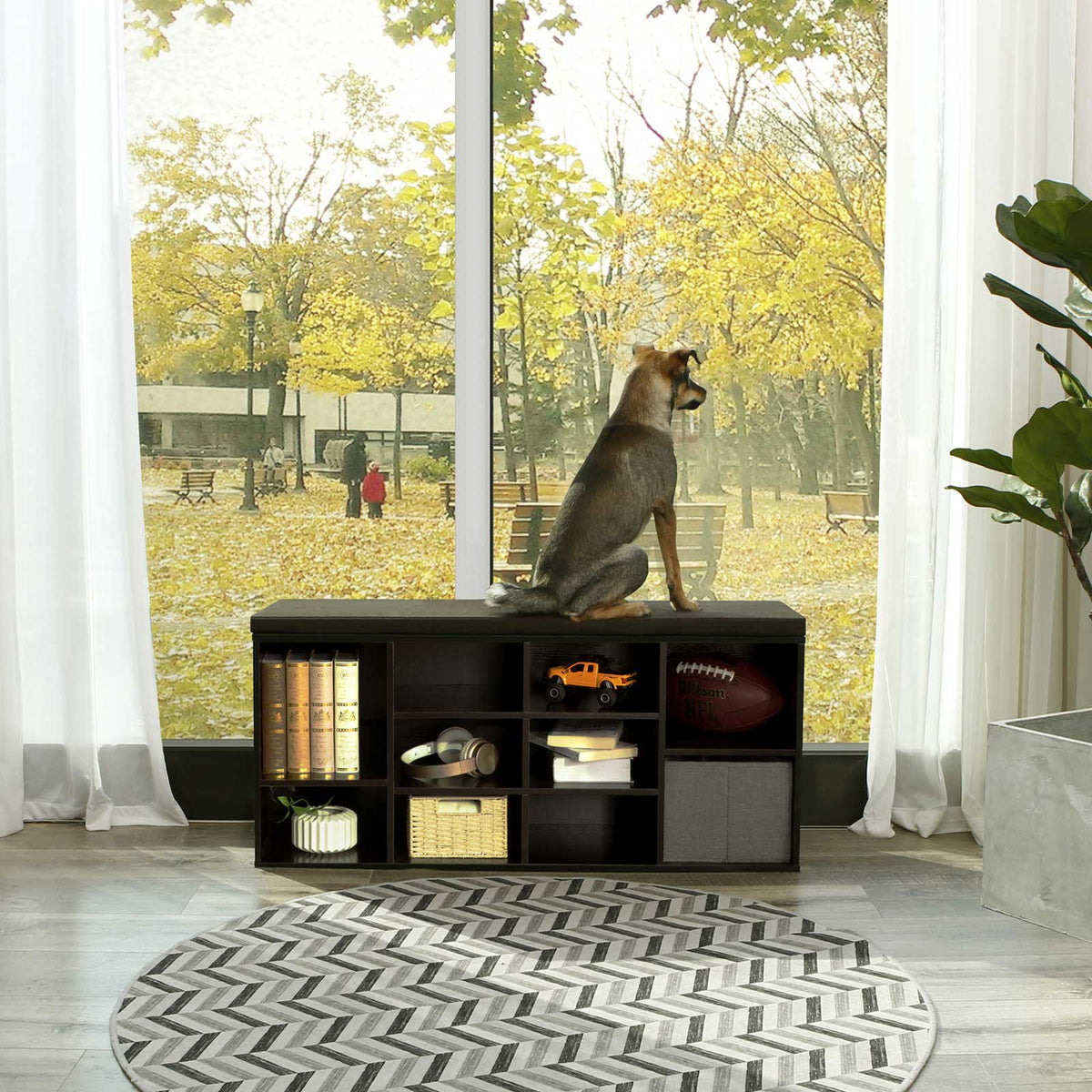Cubbie Shoe Cabinet Storage Bench with Cushion | Adjustable Shelves