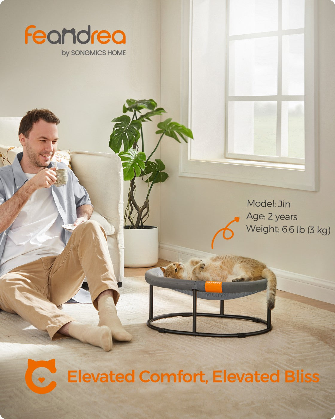 Elevated Oval Dog Bed for Small and Large Dogs Gray