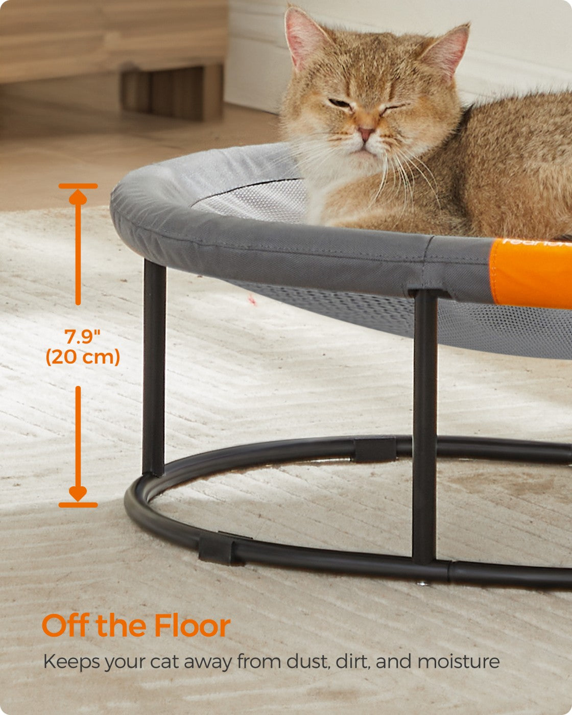 Elevated Oval Dog Bed for Small and Large Dogs Gray