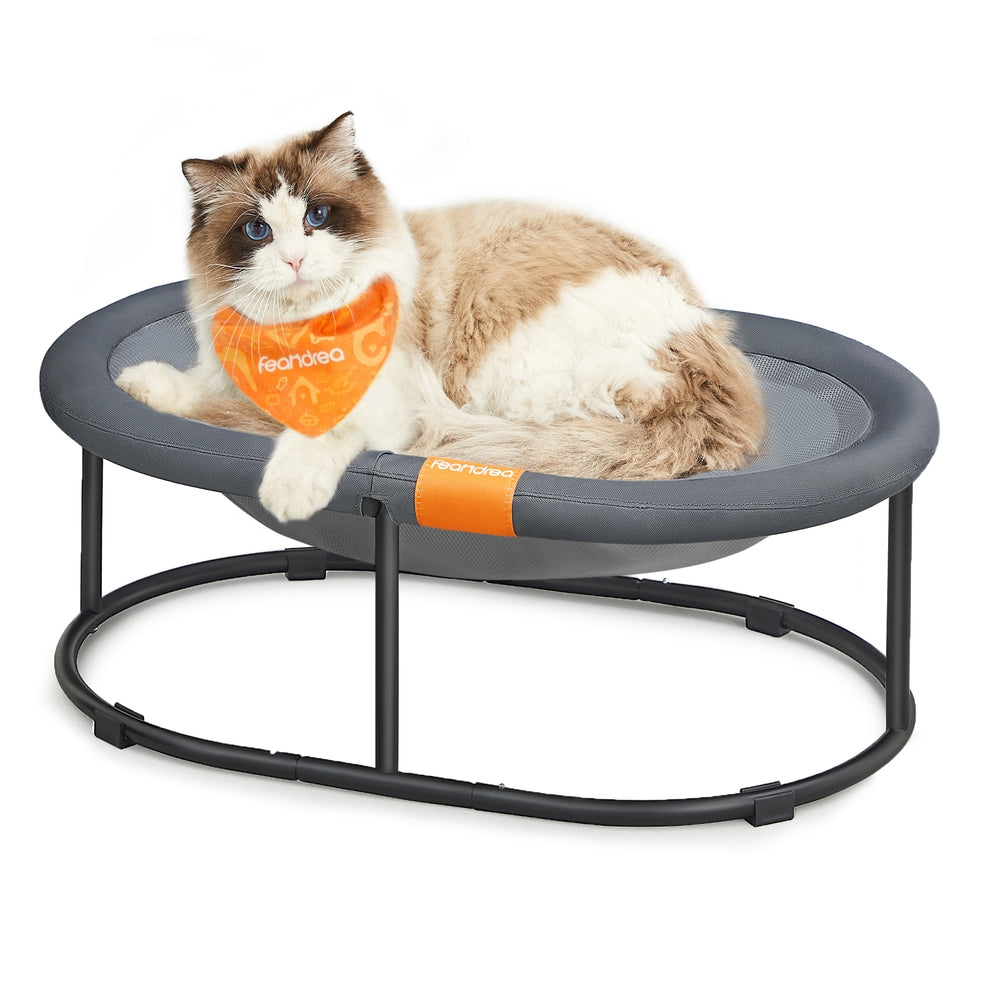 Elevated Oval Dog Bed for Small and Large Dogs Gray - Gray / L (24.4"L x 16.5"W x 7.9"H)