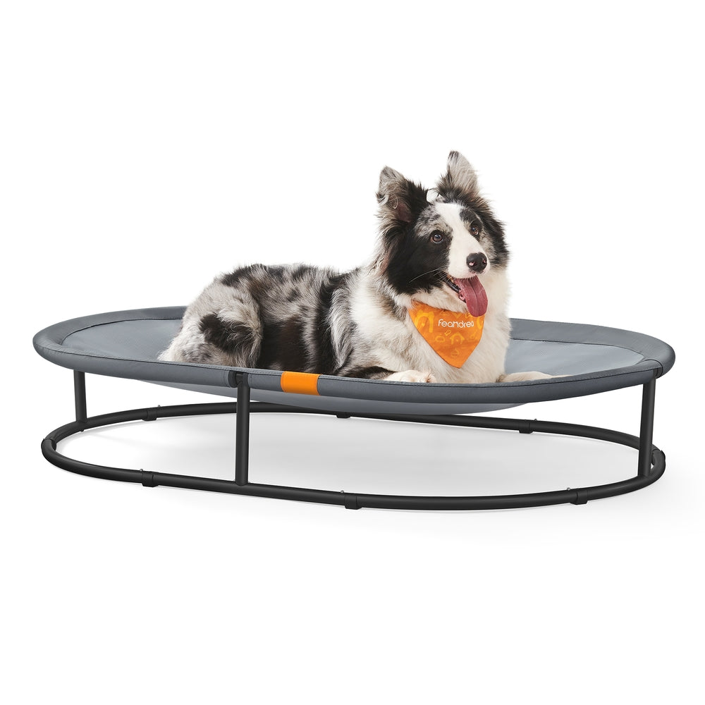 Elevated Oval Dog Bed for Small and Large Dogs Gray