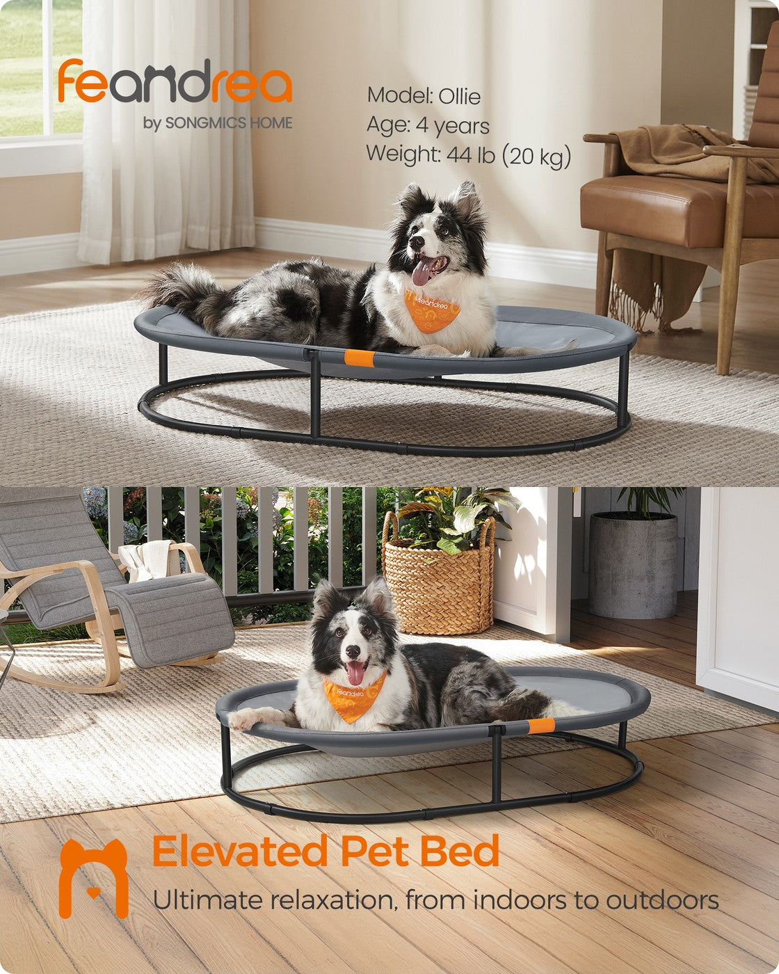 Elevated Oval Dog Bed for Small and Large Dogs Gray