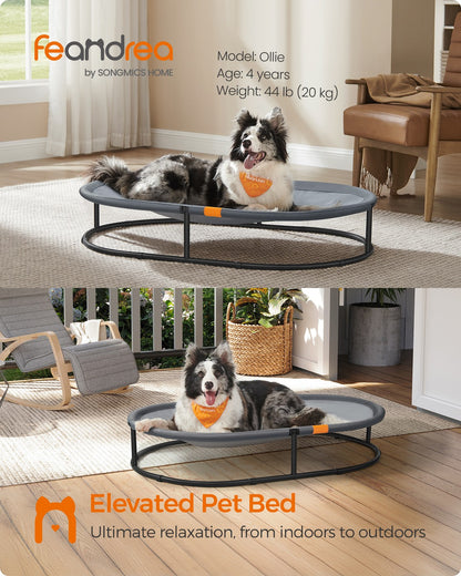 Elevated Oval Dog Bed for Small and Large Dogs Gray
