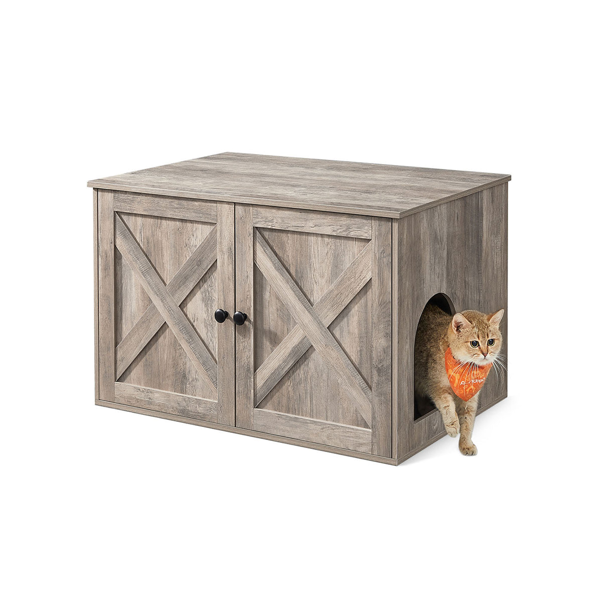 Cat Litter Box Enclosure