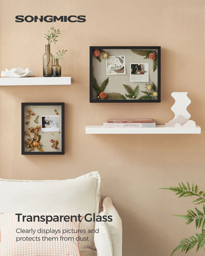 8x10 Black Box Frame Display Case with Top Slot and Stick Pins