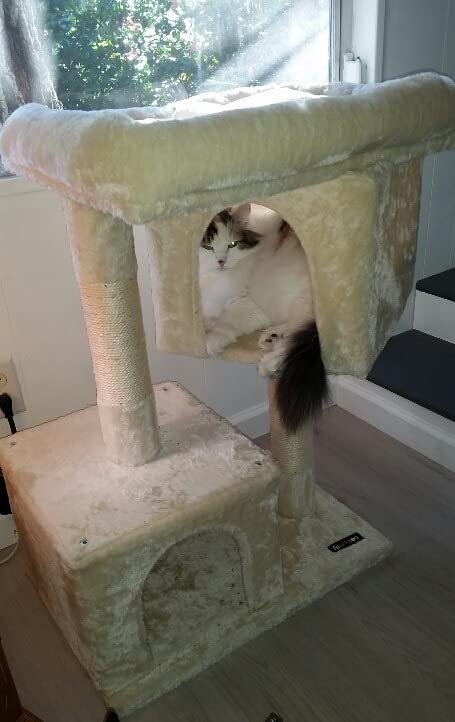 Cat Tree for Large Cats, 2 Cozy Plush Condos and Sisal Posts - HWLEXTRA 