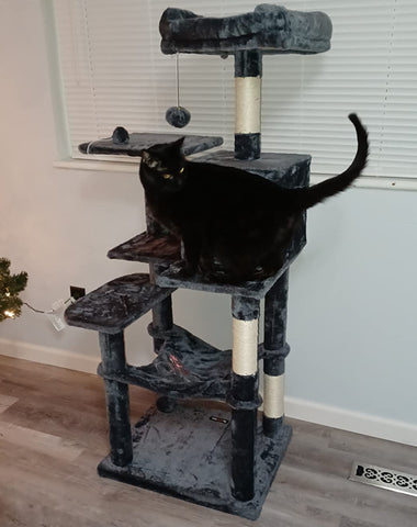 Cat Tree, Cat Tower, Cat Condo with Scratching Posts, Hammock, Plush Perch, Cat Activity Center