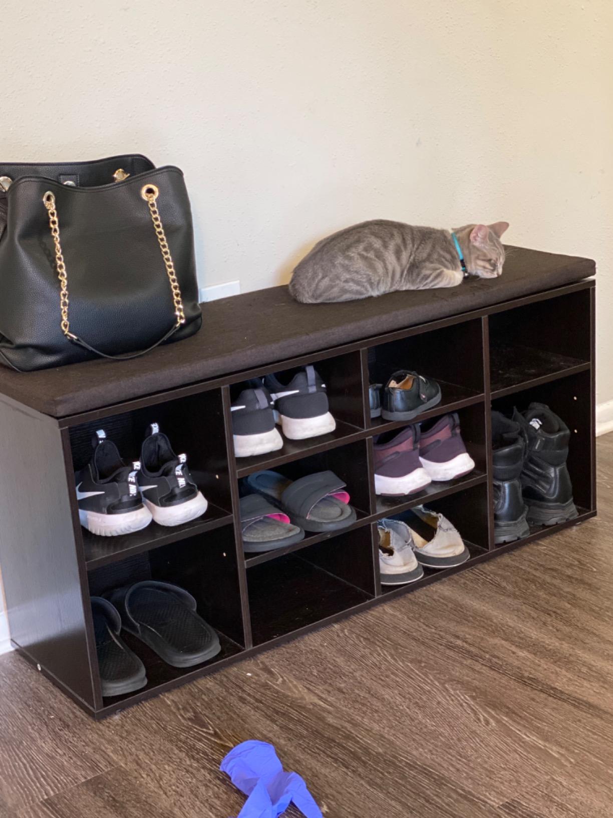 Cubbie Shoe Cabinet Storage Bench with Cushion, Adjustable Shelves, Holds up to 440lb - HWLEXTRA 