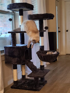Cat Tree, Cat Tower for Indoor Cats, 55.9" Cat Condo with Scratching Posts