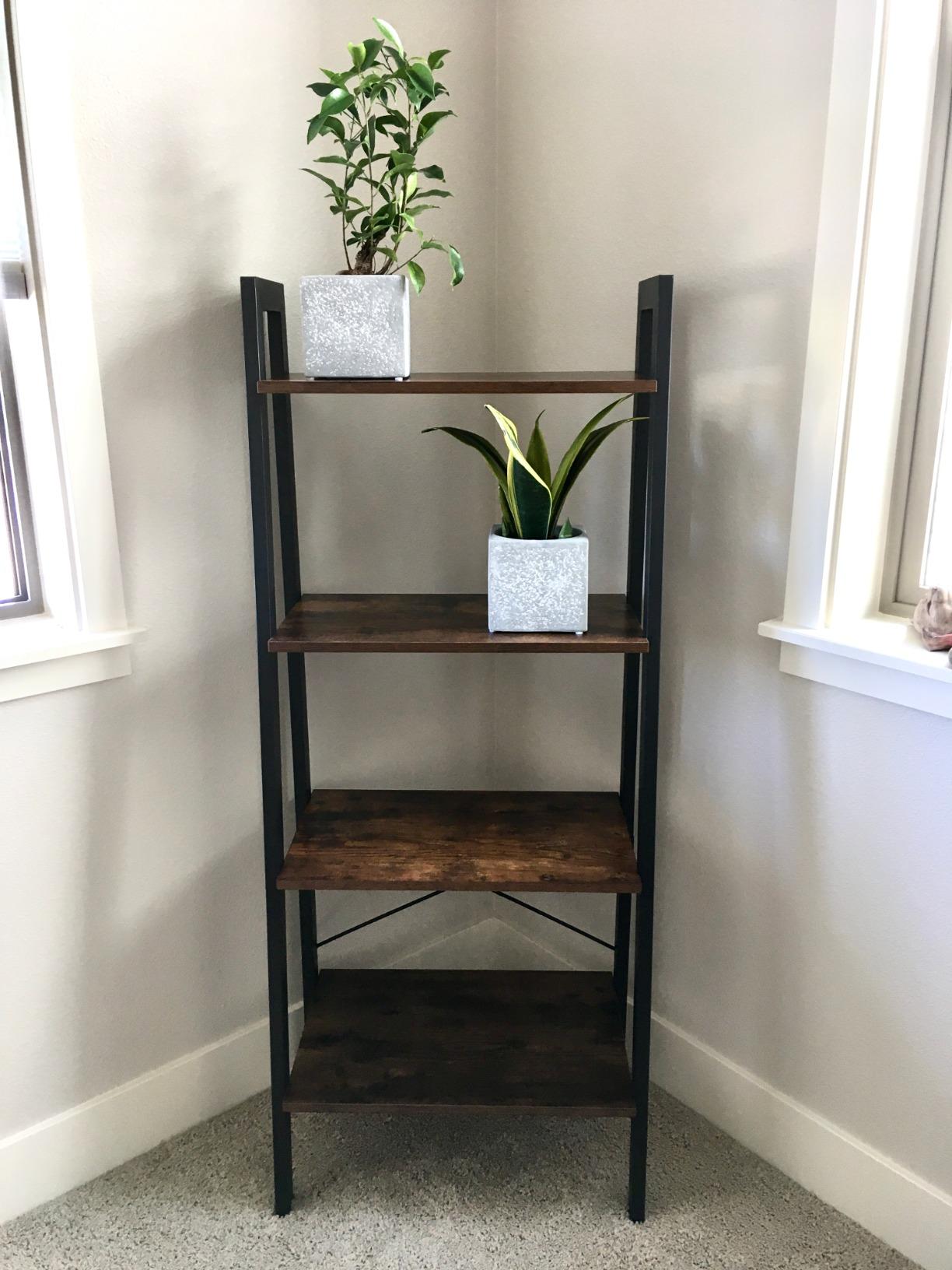 Ladder Shelf, 4-Tier Bookshelf, Free Standing Storage Shelves - HWLEXTRA 