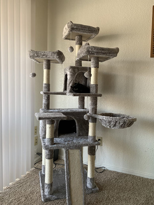 Cat posts for large cheap cats