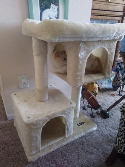 Cat Tree for Large Cats, 2 Cozy Plush Condos and Sisal Posts - HWLEXTRA 