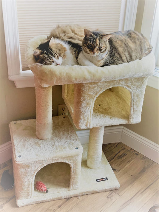 Cat Tree for Large Cats, 2 Cozy Plush Condos and Sisal Posts - HWLEXTRA 