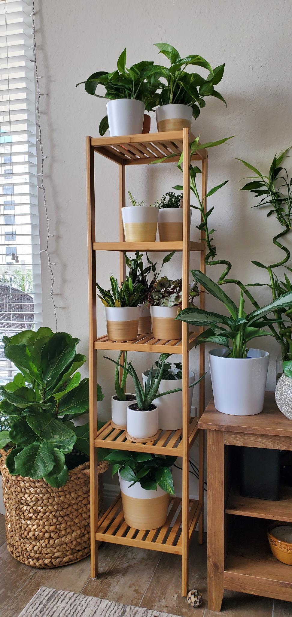 5-Tier Bamboo Bathroom Shelf, Standing Kitchen Rack, 13" x 13" x 57.5"