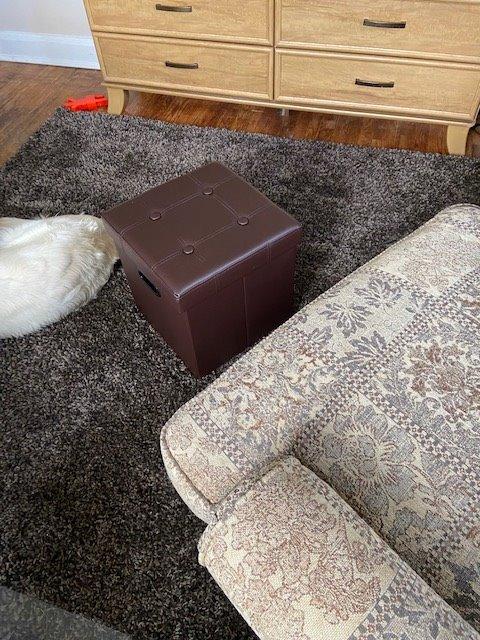 Faux Leather Storage Ottoman - HWLEXTRA