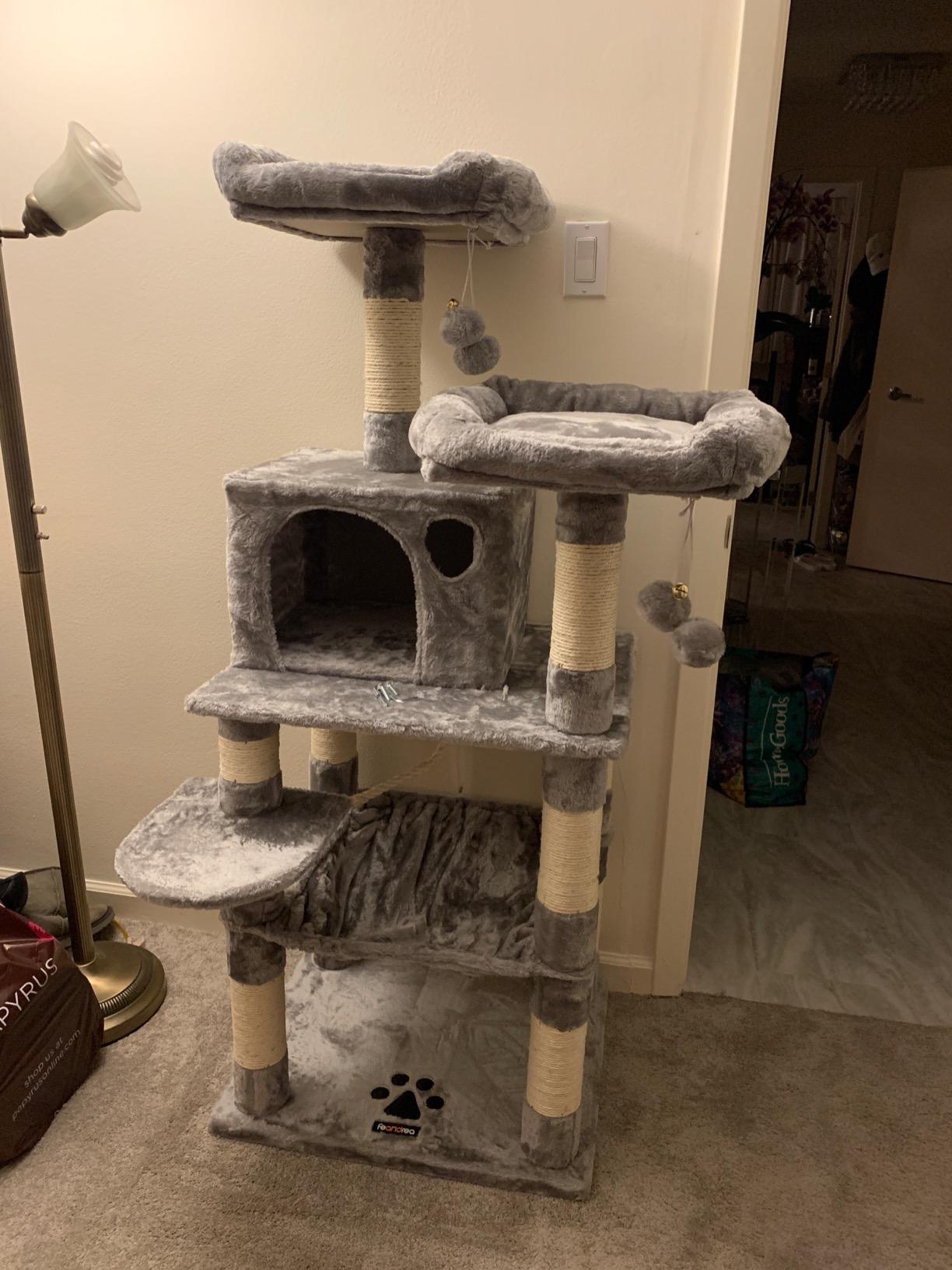 Dual Platforms Cat Tree - HWLEXTRA