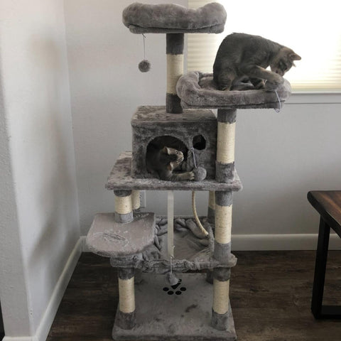 Dual Platforms Cat Tree - HWLEXTRA