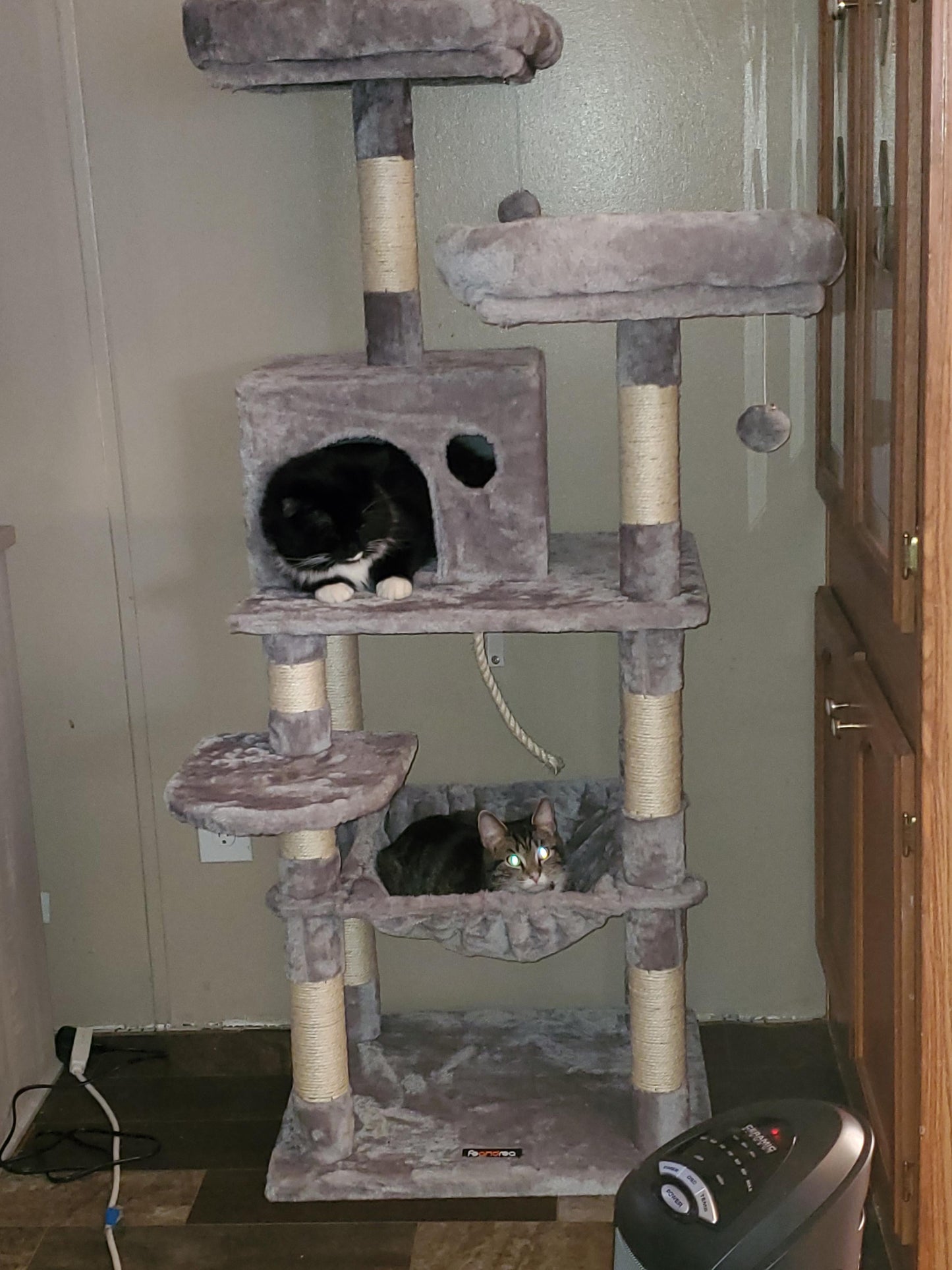 Dual Platforms Cat Tree - HWLEXTRA