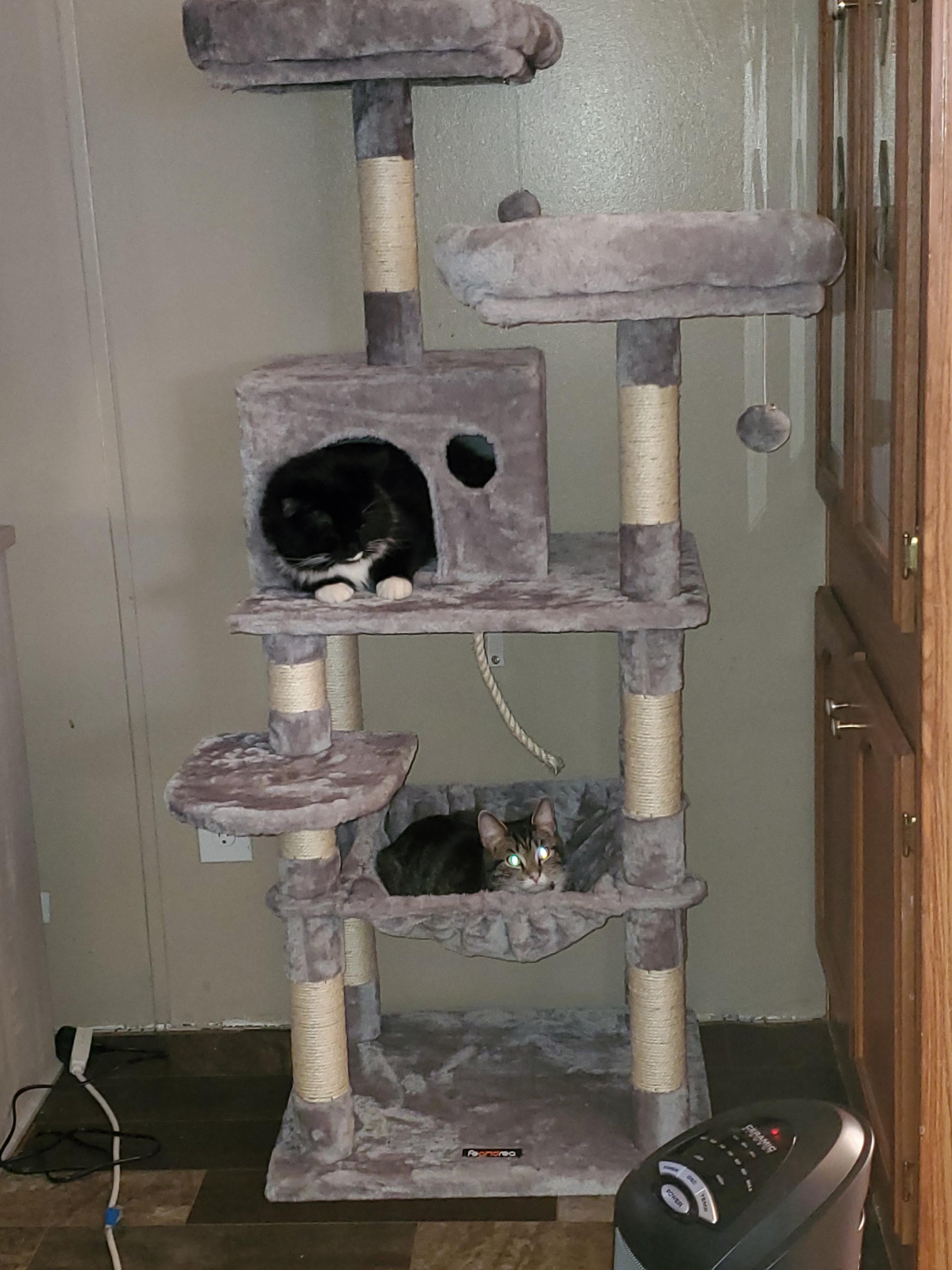 Dual Platforms Cat Tree - HWLEXTRA