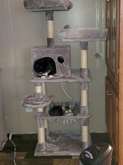 Dual Platforms Cat Tree - HWLEXTRA
