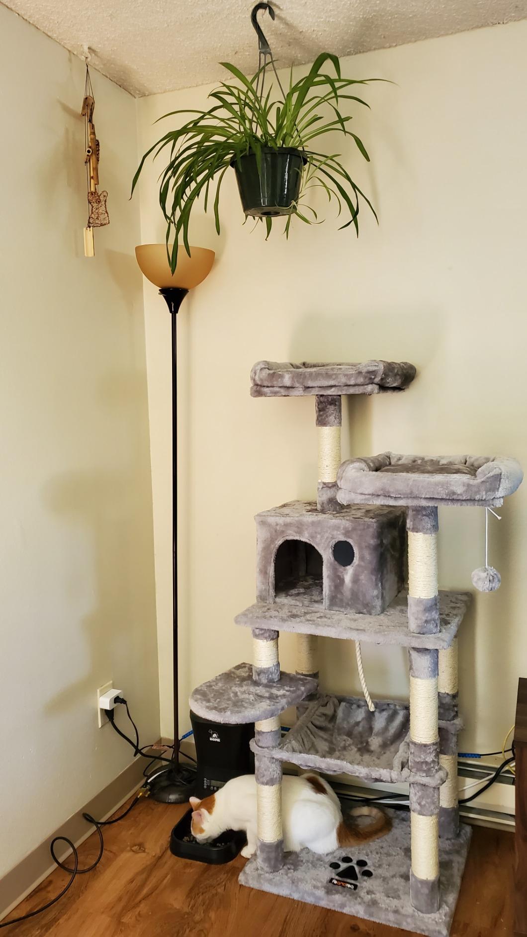 Dual Platforms Cat Tree - HWLEXTRA