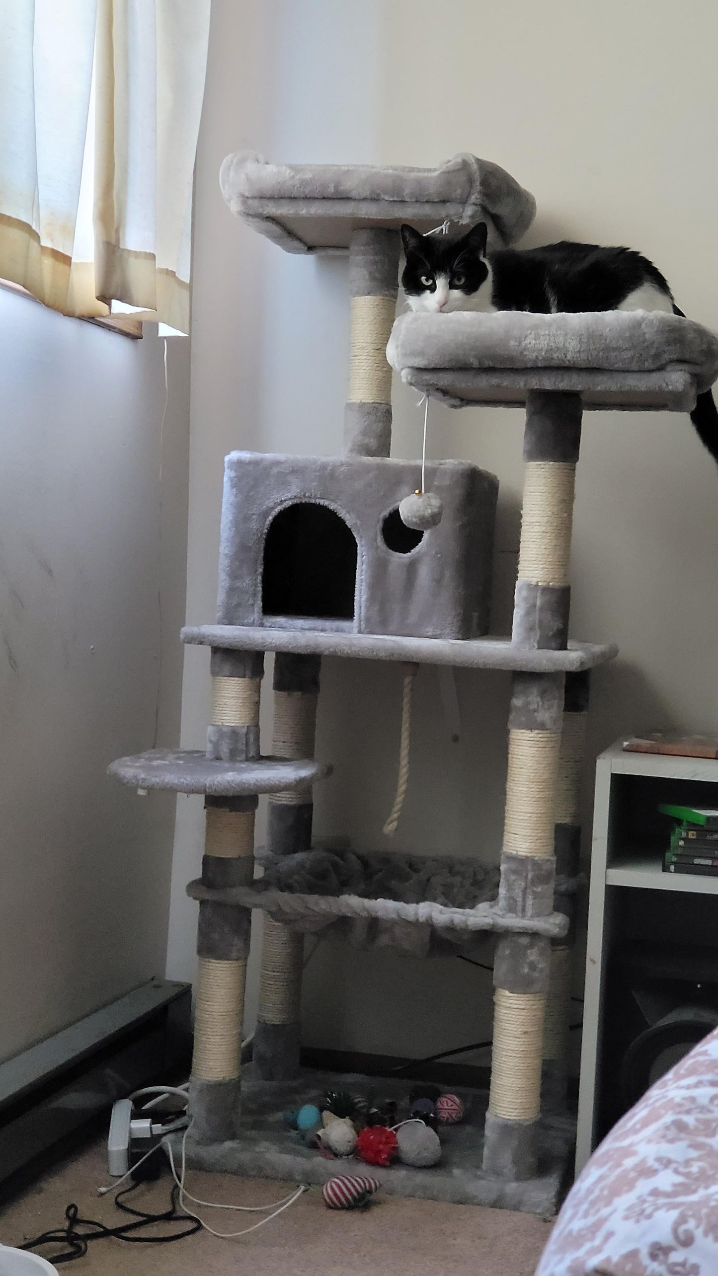 Dual Platforms Cat Tree - HWLEXTRA
