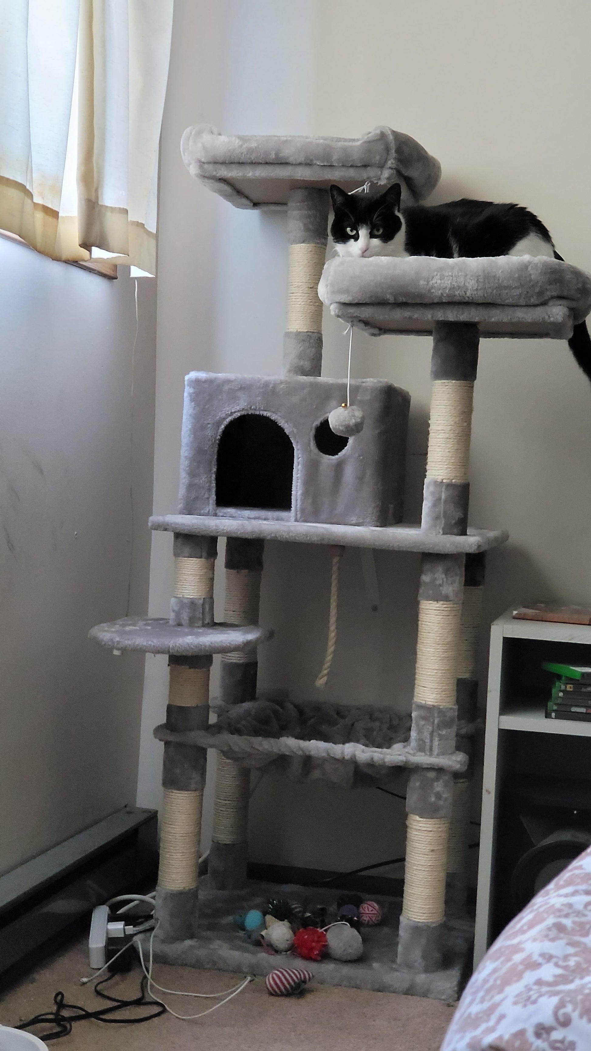 Dual Platforms Cat Tree - HWLEXTRA