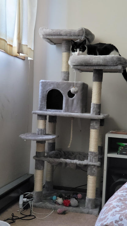 Dual Platforms Cat Tree - HWLEXTRA