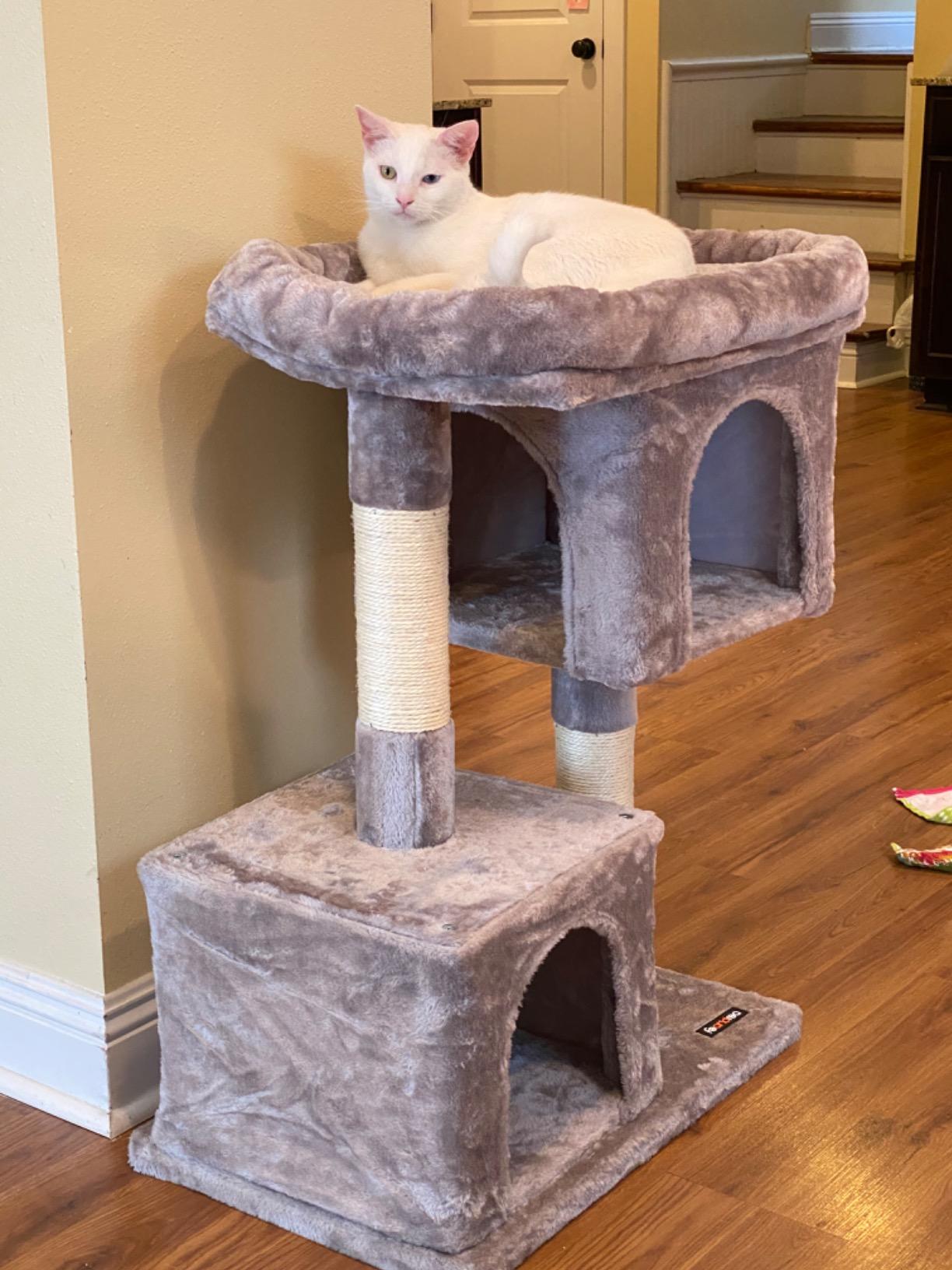 Small Grey Cat Tree - HWLEXTRA