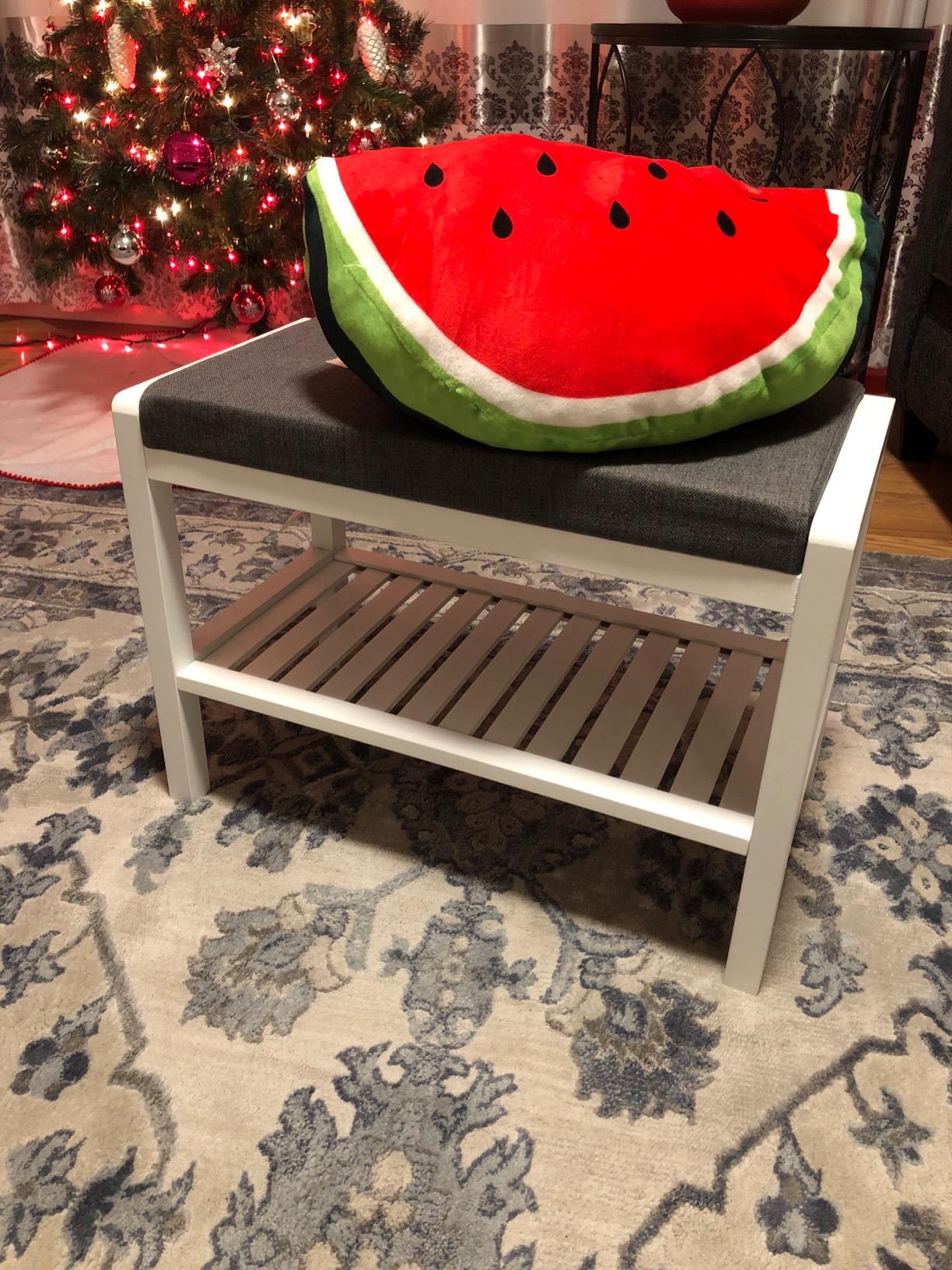 White Shoe Rack Bench with Padded Top - HWLEXTRA