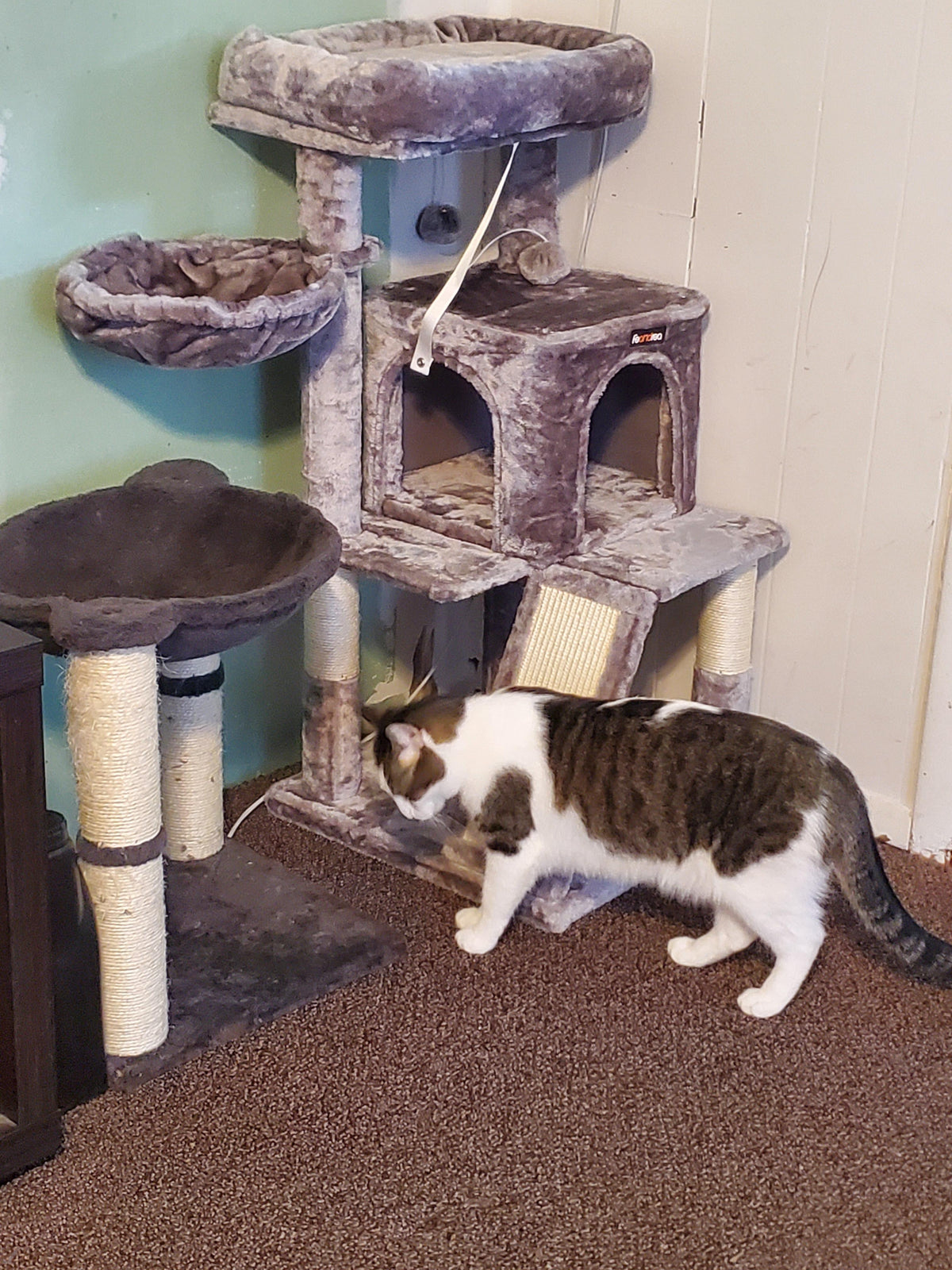 Side Slope Cat Tree - HWLEXTRA