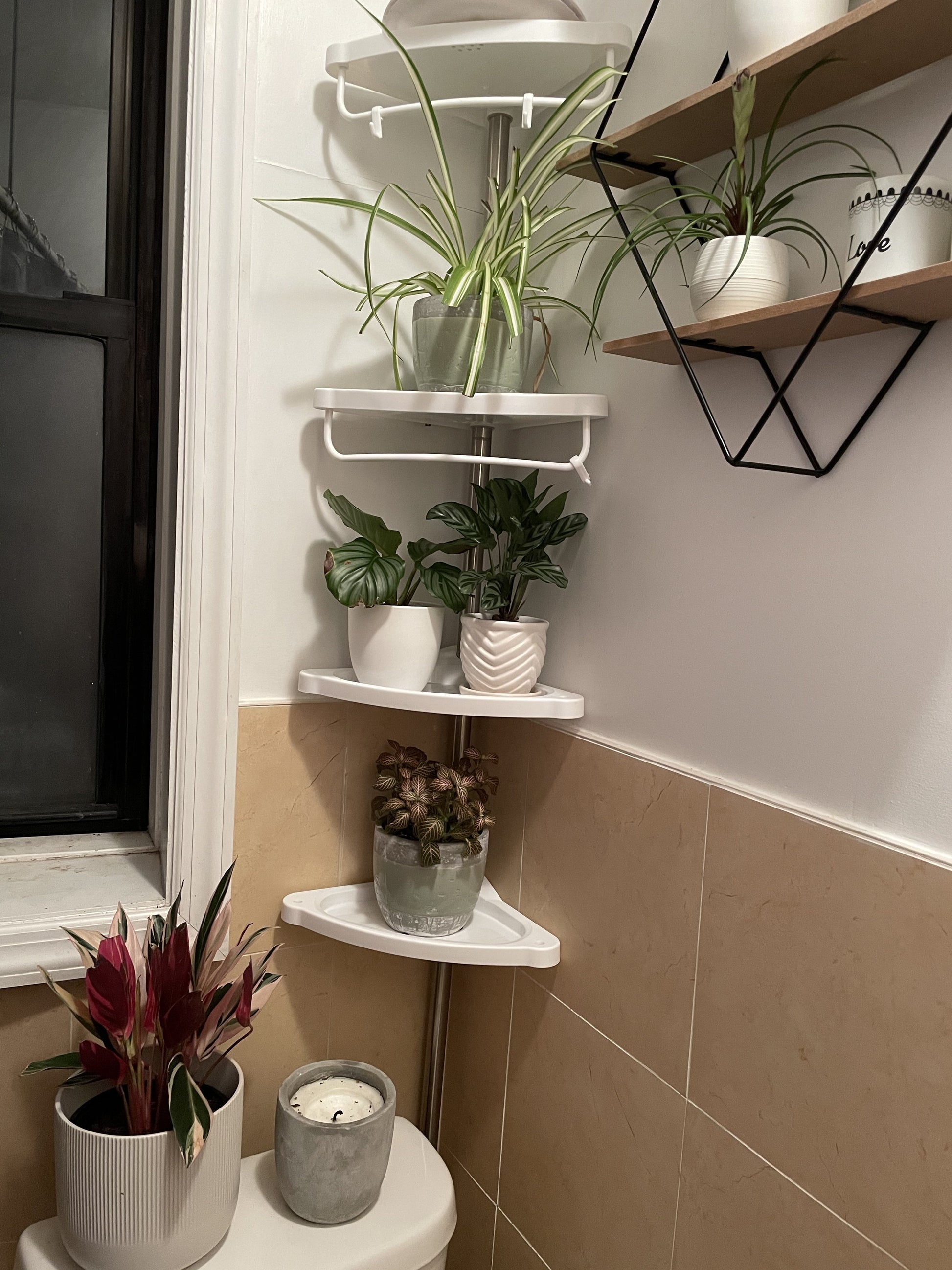 Tension Corner Shower Caddy - HWLEXTRA