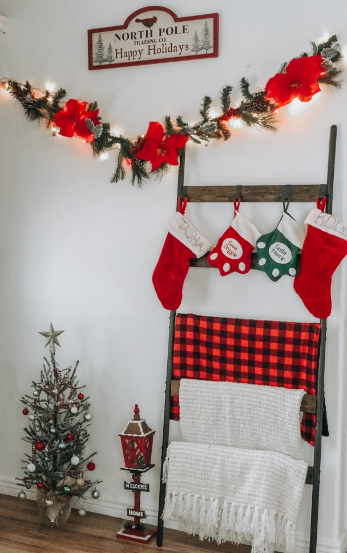 5-Tier Ladder Shelf - HWLEXTRA