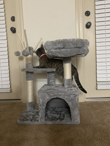 Padded Perch Cat Tree - HWLEXTRA