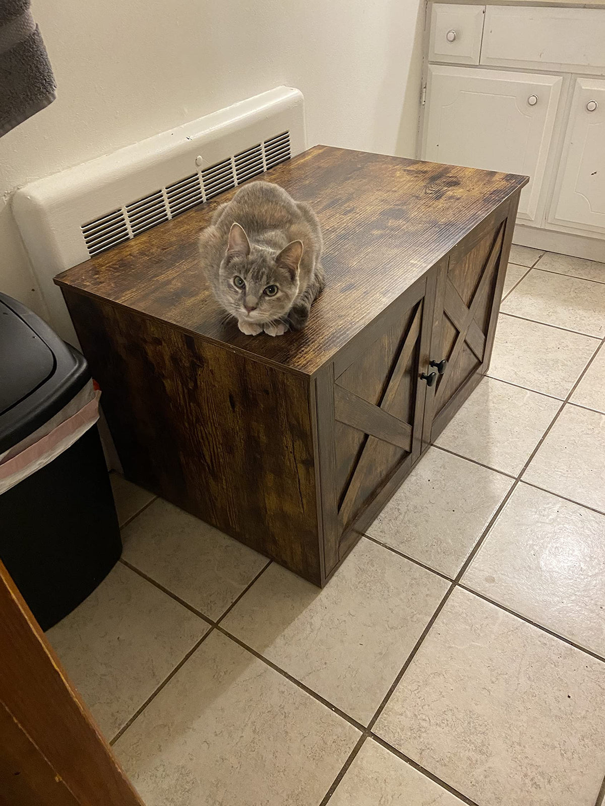 Hidden Cat Litter Box Enclosure, Wooden Cabinet Furniture, Cat Washroom with Doors, Indoor Cat House