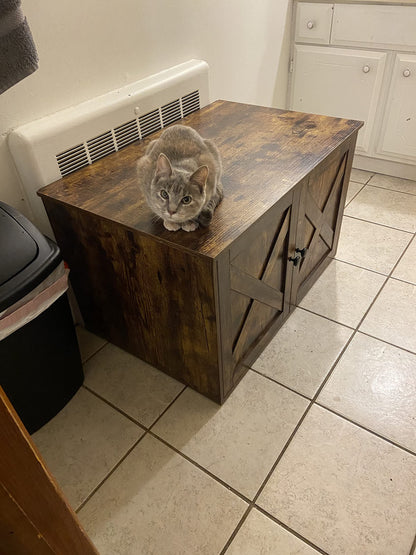 Hidden Cat Litter Box Enclosure, Wooden Cabinet Furniture, Cat Washroom with Doors, Indoor Cat House