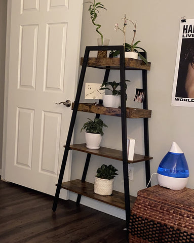 Ladder Shelf, 4 Tier Leaning Bookshelf Storage Bookcase Rack, Plant Stand